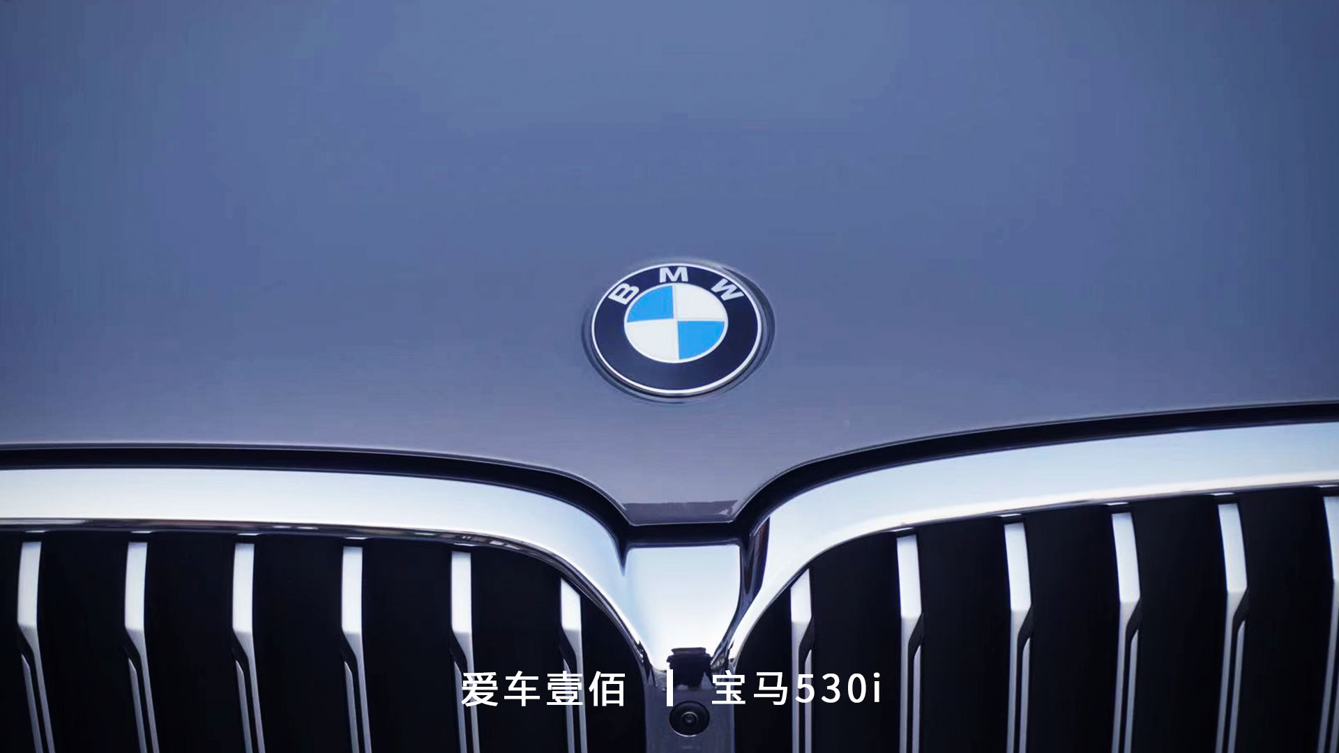 寶馬530i【愛(ài)車壹佰】施工羅利普斯ROLIPS隱形車衣